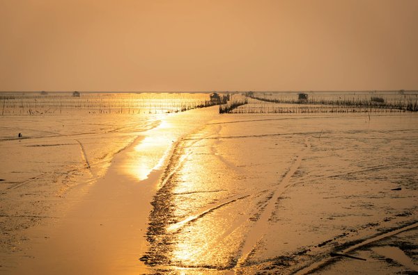 Aventuras Inigualables en Cada Viaje